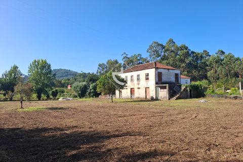 Farm i Ponte de Lima, Viana do Castelo, Ponte de Lima - € 349.000 | Ref: AV6526 - foto 5