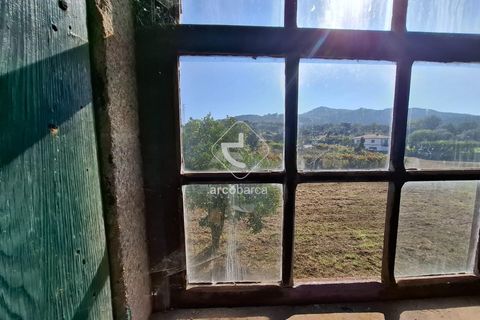 Farm i Ponte de Lima, Viana do Castelo, Ponte de Lima - € 349.000 | Ref: AV6526 - foto 11