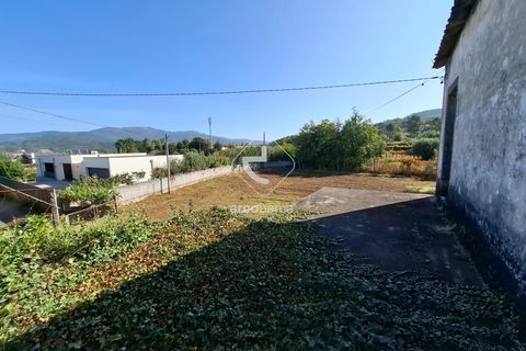 Farm i Ponte de Lima, Viana do Castelo, Ponte de Lima - € 349.000 | Ref: AV6526 - foto 20