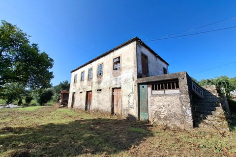 Farm i Ponte de Lima, Viana do Castelo, Ponte de Lima - € 349.000 | Ref: AV6526 - foto 22