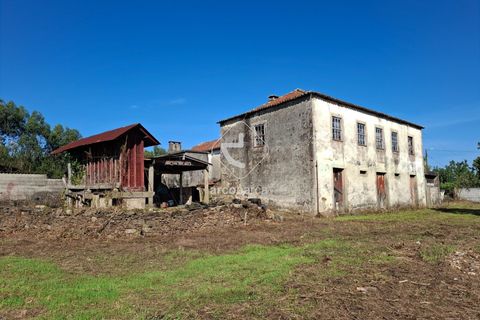 Farm i Ponte de Lima, Viana do Castelo, Ponte de Lima - € 349.000 | Ref: AV6526 - foto 3