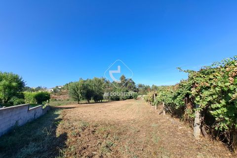 Farm i Ponte de Lima, Viana do Castelo, Ponte de Lima - € 349.000 | Ref: AV6526 - foto 27