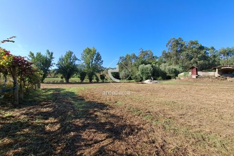 Farm i Ponte de Lima, Viana do Castelo, Ponte de Lima - € 349.000 | Ref: AV6526 - foto 28