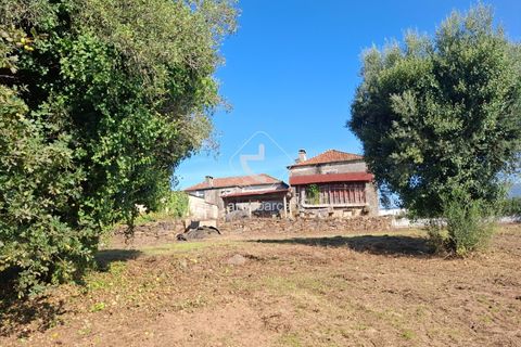 Farm i Ponte de Lima, Viana do Castelo, Ponte de Lima - € 349.000 | Ref: AV6526 - foto 29
