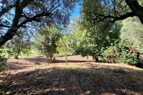Farm i Ponte de Lima, Viana do Castelo, Ponte de Lima - € 349.000 | Ref: AV6526 - foto 33