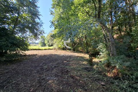 Farm i Ponte de Lima, Viana do Castelo, Ponte de Lima - € 349.000 | Ref: AV6526 - foto 34