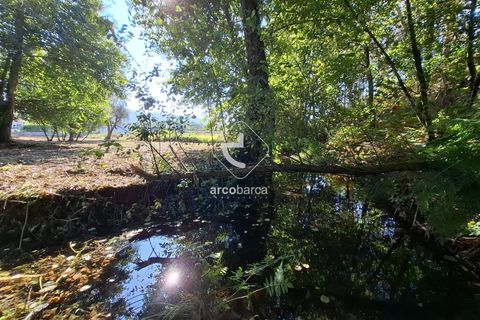 Farm i Ponte de Lima, Viana do Castelo, Ponte de Lima - € 349.000 | Ref: AV6526 - foto 35