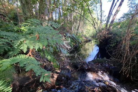 Farm i Ponte de Lima, Viana do Castelo, Ponte de Lima - € 349.000 | Ref: AV6526 - foto 36
