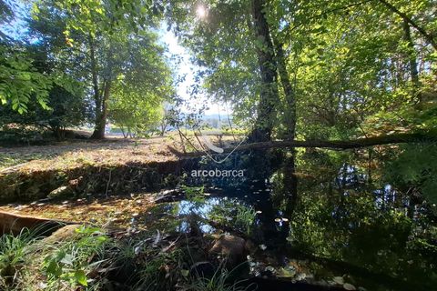 Farm i Ponte de Lima, Viana do Castelo, Ponte de Lima - € 349.000 | Ref: AV6526 - foto 37
