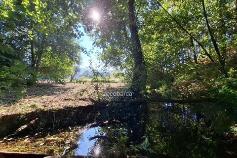 Farm i Ponte de Lima, Viana do Castelo, Ponte de Lima - € 349.000 | Ref: AV6526 - foto 38