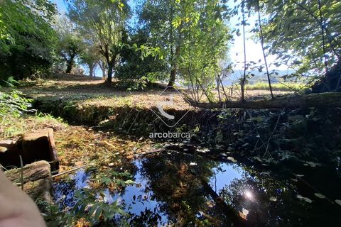 Farm i Ponte de Lima, Viana do Castelo, Ponte de Lima - € 349.000 | Ref: AV6526 - foto 39