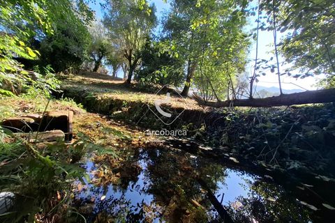 Farm i Ponte de Lima, Viana do Castelo, Ponte de Lima - € 349.000 | Ref: AV6526 - foto 40