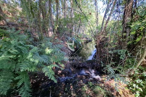 Farm i Ponte de Lima, Viana do Castelo, Ponte de Lima - € 349.000 | Ref: AV6526 - foto 41