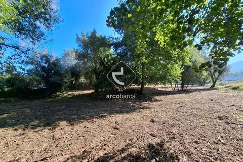 Farm i Ponte de Lima, Viana do Castelo, Ponte de Lima - € 349.000 | Ref: AV6526 - foto 42