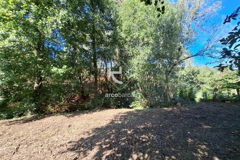 Farm i Ponte de Lima, Viana do Castelo, Ponte de Lima - € 349.000 | Ref: AV6526 - foto 43
