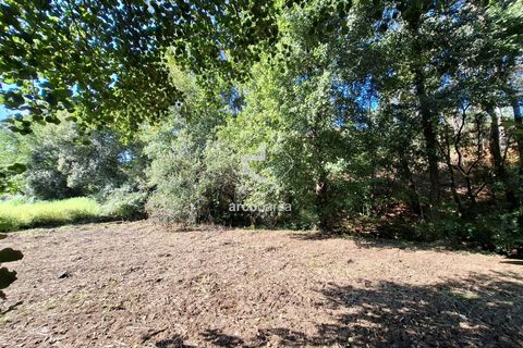 Farm i Ponte de Lima, Viana do Castelo, Ponte de Lima - € 349.000 | Ref: AV6526 - foto 44