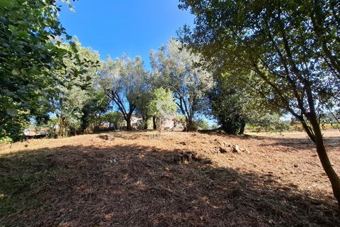 Farm i Ponte de Lima, Viana do Castelo, Ponte de Lima - € 349.000 | Ref: AV6526 - foto 45