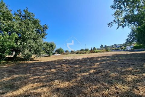 Farm i Ponte de Lima, Viana do Castelo, Ponte de Lima - € 349.000 | Ref: AV6526 - foto 46