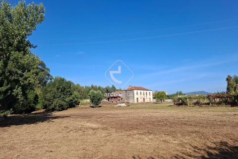 Farm i Ponte de Lima, Viana do Castelo, Ponte de Lima - € 349.000 | Ref: AV6526 - foto 47