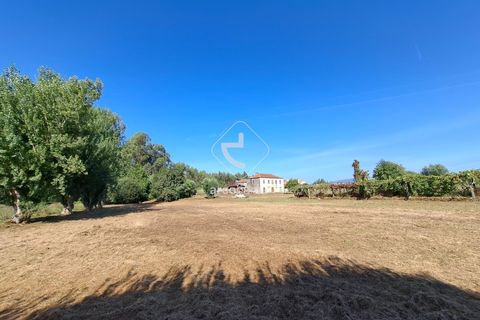 Farm i Ponte de Lima, Viana do Castelo, Ponte de Lima - € 349.000 | Ref: AV6526 - foto 48