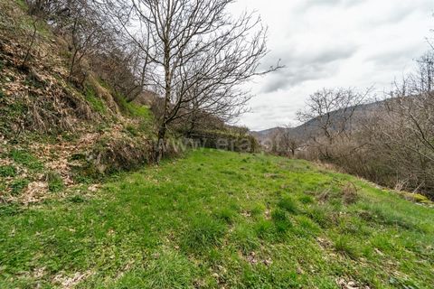 Villa i Manteigas, Guarda, Manteigas - € 87.500 | Ref: 111250046 - foto 17