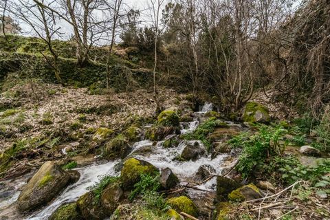 Villa i Manteigas, Guarda, Manteigas - € 87.500 | Ref: 111250046 - foto 19