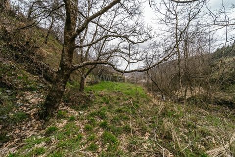 Villa i Manteigas, Guarda, Manteigas - € 87.500 | Ref: 111250046 - foto 20