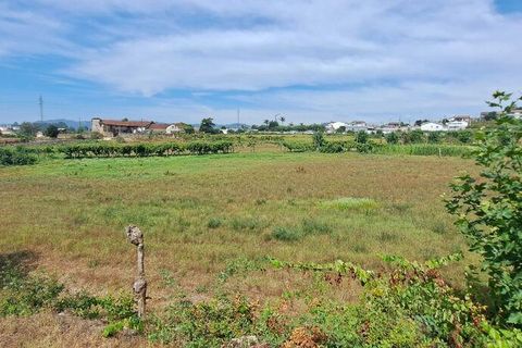 Helårsgrund i Lousada, Porto, Lousada - € 385.000 | Ref: 128766 - foto 12