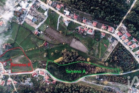 Helårsgrund i Lousada, Porto, Lousada - € 385.000 | Ref: 128766 - foto 20