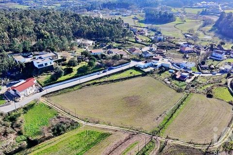 Helårsgrund i Lousada, Porto, Lousada - € 385.000 | Ref: 128766 - foto 7