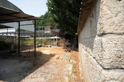 Helårsgrund i Vila Real, Vila Real, Vila Real - € 375.000 | Ref: 149414 - foto 6