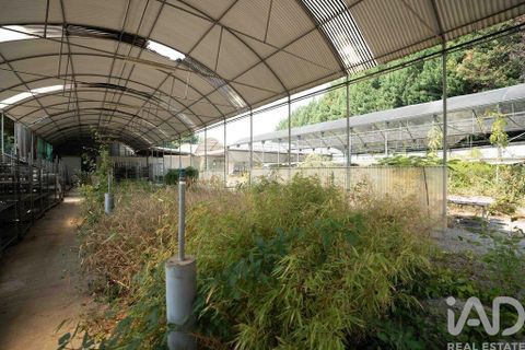 Helårsgrund i Vila Real, Vila Real, Vila Real - € 375.000 | Ref: 149414 - foto 10