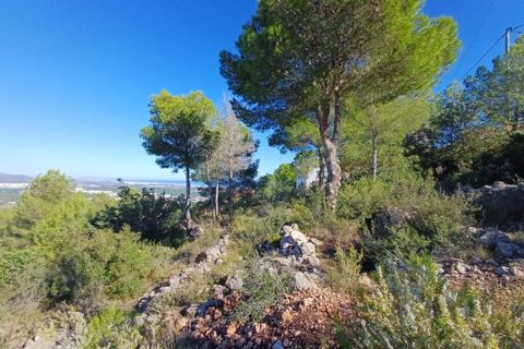 Helårsgrund i Oliva, Valencia, Oliva - € 200.000 | Ref: OCPL014000 - foto 2