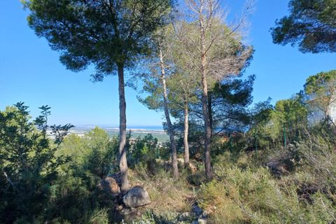 Helårsgrund i Oliva, Valencia, Oliva - € 200.000 | Ref: OCPL014000 - foto 3