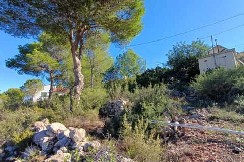 Helårsgrund i Oliva, Valencia, Oliva - € 200.000 | Ref: OCPL014000 - foto 5