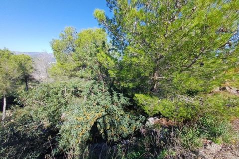 Helårsgrund i Oliva, Valencia, Oliva - € 200.000 | Ref: OCPL014000 - foto 6