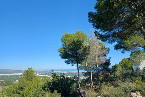 Helårsgrund i Oliva, Valencia, Oliva - € 200.000 | Ref: OCPL014000 - foto 7