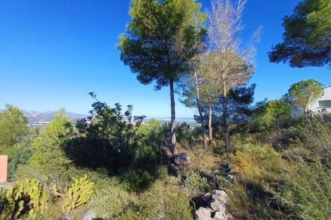 Helårsgrund i Oliva, Valencia, Oliva - € 200.000 | Ref: OCPL014000 - foto 8