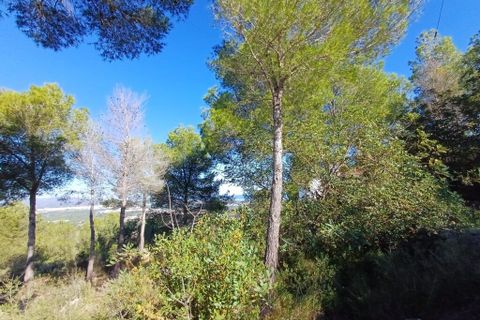 Helårsgrund i Oliva, Valencia, Oliva - € 200.000 | Ref: OCPL014000 - foto 9