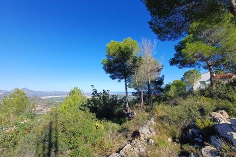 Helårsgrund i Oliva, Valencia, Oliva - € 200.000 | Ref: OCPL014000 - foto 10