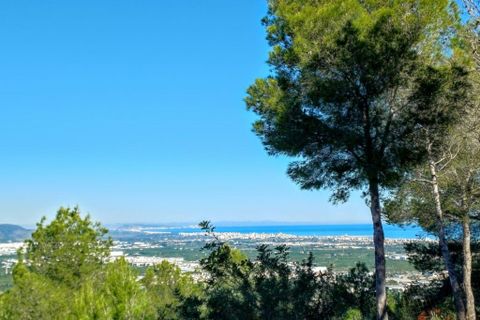 Helårsgrund i Oliva, Valencia, Oliva - € 200.000 | Ref: OCPL014000 - foto 11