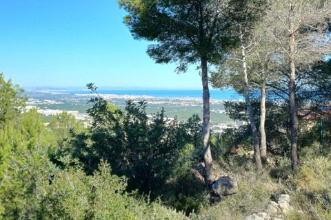 Helårsgrund i Oliva, Valencia, Oliva - € 200.000 | Ref: OCPL014000 - foto 12