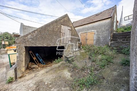 Helårsgrund i Calheta, Madeira, Calheta - € 65.000 | Ref: 11937-RA - foto 8