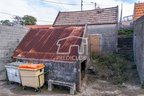 Helårsgrund i Calheta, Madeira, Calheta - € 65.000 | Ref: 11937-RA - foto 16
