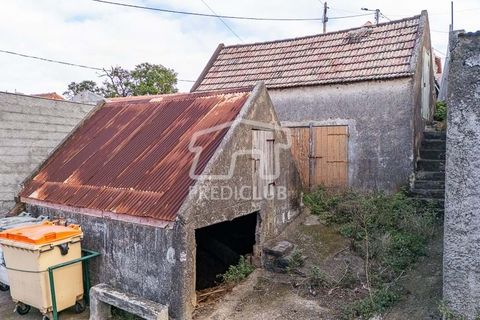 Helårsgrund i Calheta, Madeira, Calheta - € 65.000 | Ref: 11937-RA - foto 17
