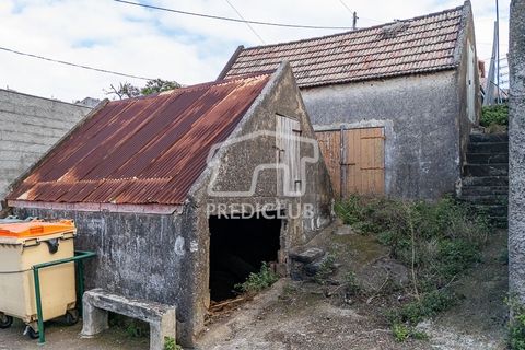 Helårsgrund i Calheta, Madeira, Calheta - € 65.000 | Ref: 11937-RA - foto 18