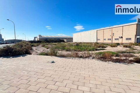 Finca in Alicante, Alicante - Foto 4