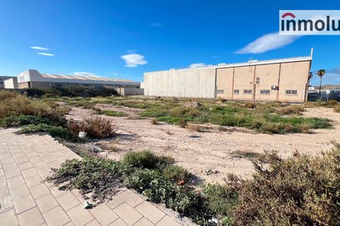 Finca in Alicante, Alicante - Foto 5