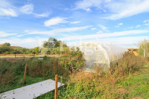 Granja a Peralada, Gerona, Peralada - € 470.000 | Ref: 502 - foto 32