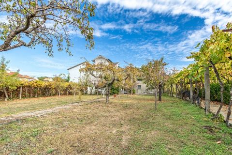 Farm i Viana do Castelo, Viana do Castelo, Viana do Castelo - € 550.000 | Ref: ZMPT582418 - foto 2